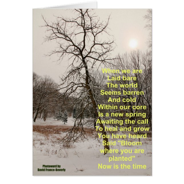 Blut, wo Sie gepflanzt werden (Vorne)