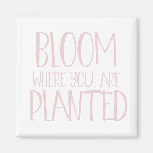 Blut, wo Sie gepflanzt werden Magnet (Vorne)