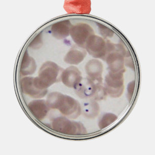 Blutabstrich der Malaria (Plasmodium) Ornament Aus Metall