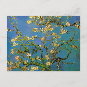 Blüte Almond Tree von Vincent van Gogh Postkarte