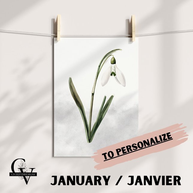 Blüte des botanischen aquarellischen Schneebrettic Poster (Fleur de Naissance du mois de Février : Le Perce Neige)