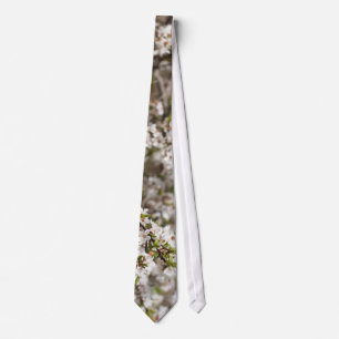 Blüte des Kirschbaums Krawatte