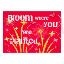 Blüte, in der Sie gepflanzt werden