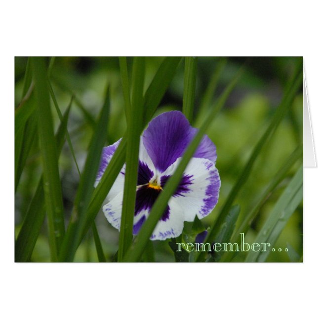 Blüte, in der Sie… gepflanzt werden (Vorderseite (Horizontal))