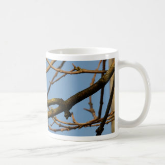 Blüte Kaffeetasse