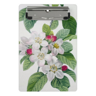 Blüte, von 'Les Choix DES plus Schönheiten Mini Klemmbrett