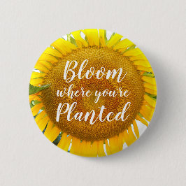 Blüte, wo man gelbe Sonnenblumen gepflanzt hat Button