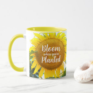Blüte, wo man gelbe Sonnenblumen gepflanzt hat Tasse