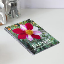 Blüte, wo man Zitat pflanzt Blumenzettel