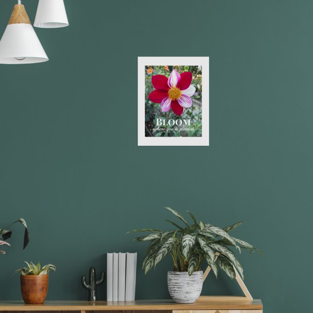 Blüte, wo man Zitat pflanzt Blumenzettel Poster (Wohnzimmer 1)