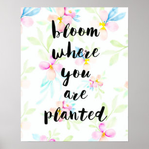 Blüte, wo Sie gepflanzt Wasserfarbenflora Poster