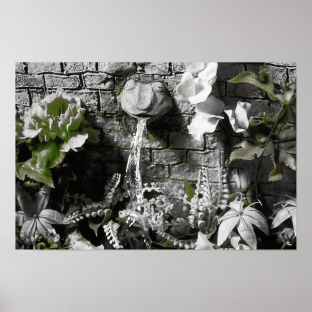 Blutegel und Red String Frog Fountain Print Poster (Vorne)