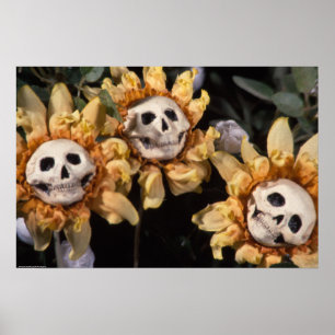 Blutegel und rote Streichelblume Poster