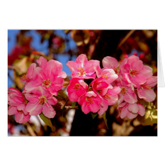 Blüten
