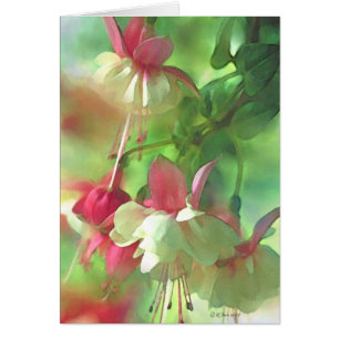 Blüten