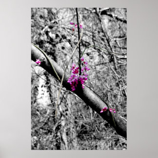 Blüten 2 poster
