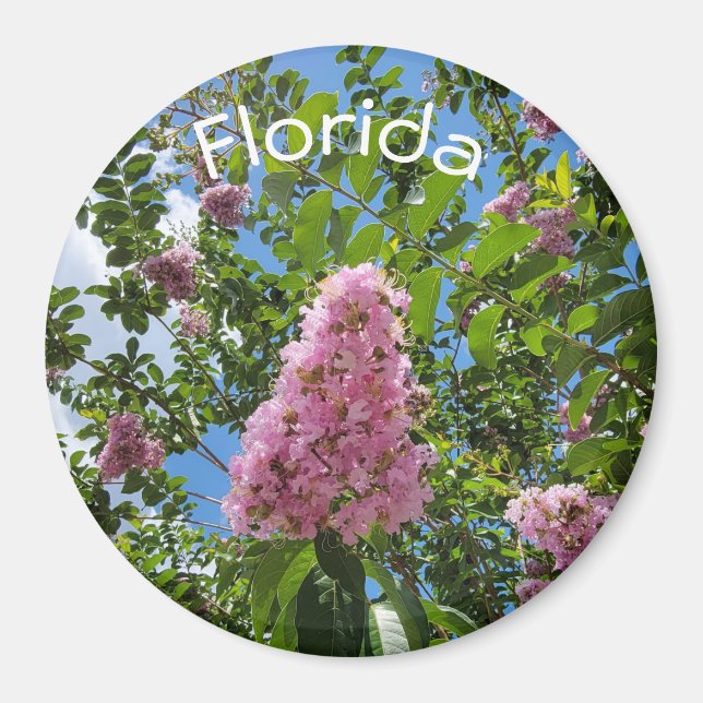 Blüten aus Florida Magnet (Vorne)
