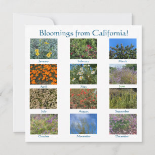 Blüten aus Kalifornien: Sunnyvale 2022 Mitteilungskarte