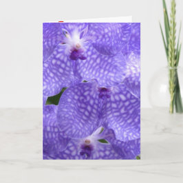 Blüten Blume Orchideen Frieden Liebe Schicksal Dankeskarte