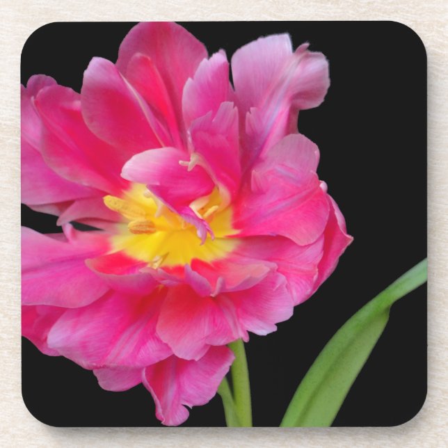 Blüten Blume Party Dusche Glückwunsch Liebe Untersetzer (Vorderseite)