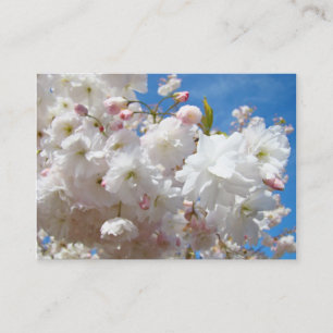 Blüten Blumen Frühjahrs Termin Karten Erinnerungen
