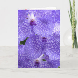 Blüten Blumen Orchideen Frieden Liebe Schicksal Dankeskarte