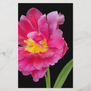 Blüten Blumen Party Dusche Gratulation Liebe Briefpapier