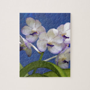 Blüten-BlumenPflanzen-bunte Fotografie-Kunst Puzzle