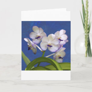 Blüten Blumensträuße Pflanze Farbenfrohe Fotokunst Feiertagskarte
