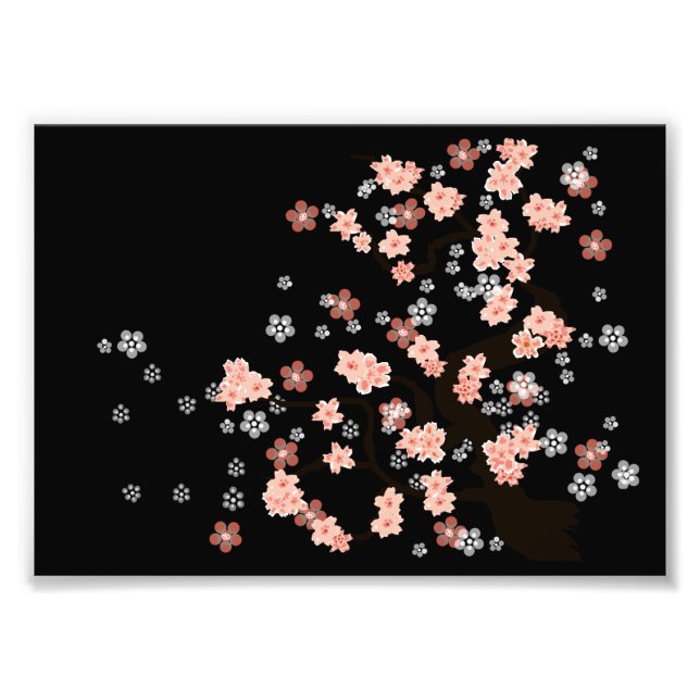 Blüten des japanischen Kirschbaums Fotodruck (Vorne)