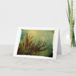 Blüten, Gute Besserung Karte