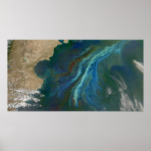 Blüten im Ozean durch Patagonien Poster