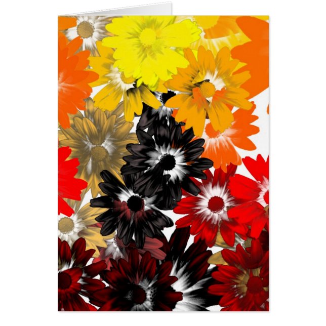 Blüten in Schwarz und Orange (Vorne)