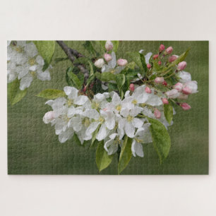 Blüten mit rosa puzzle
