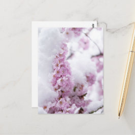 Blüten Postkarte