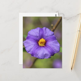 Blüten Postkarte