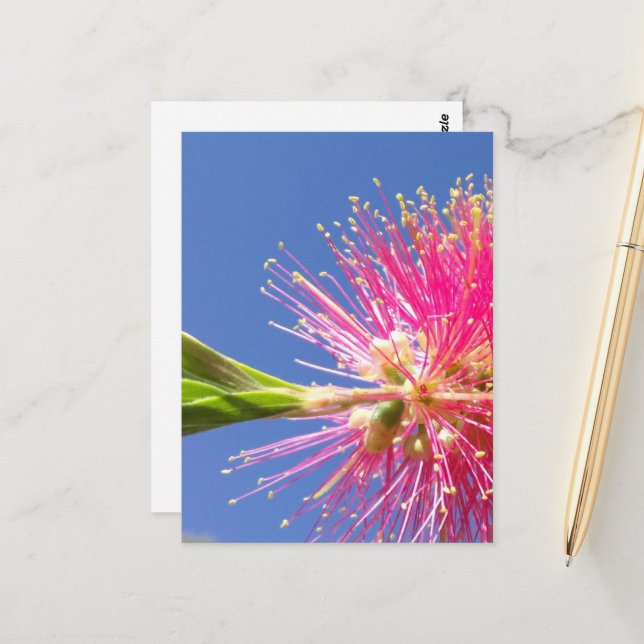 Blüten Postkarte (Vorderseite/Rückseite Beispiel)