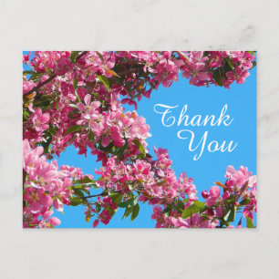Blüten und blauer Himmel Danke Postkarte