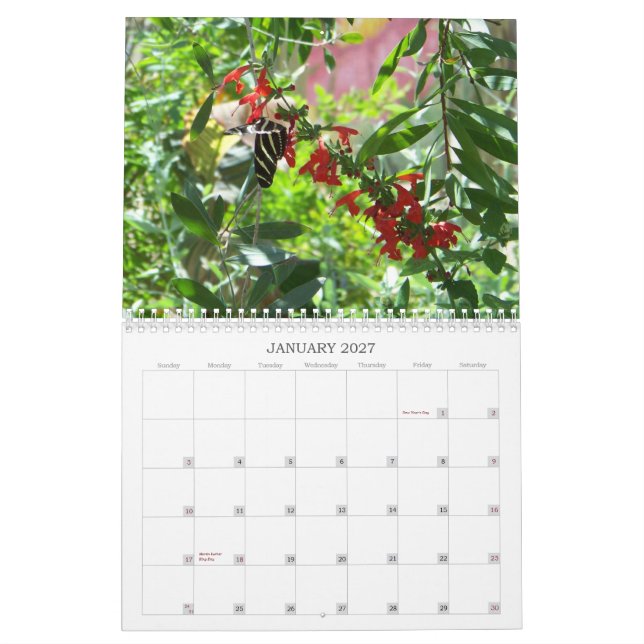 Blüten-und der Schmetterlings-2011 Kalender (Jan 2027)
