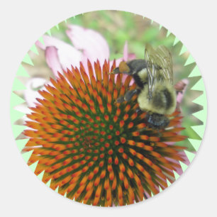 Blüten- und Östlich-Tischlerbienenartikel Runder Aufkleber