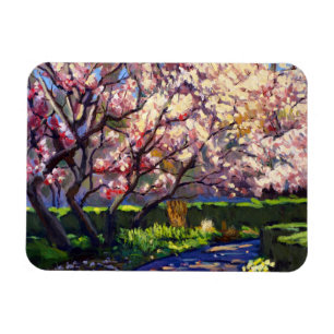 Blüten von weißen, lebhaften Purpuren und Reds Magnet