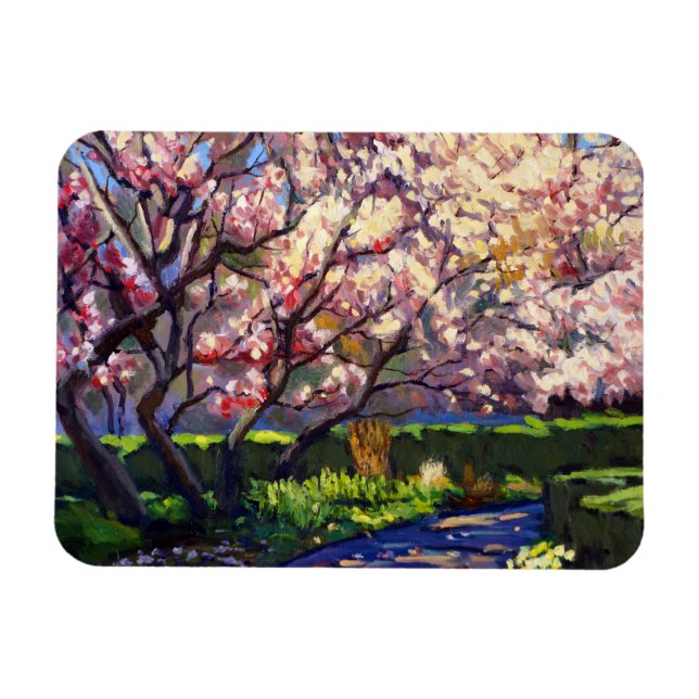 Blüten von weißen, lebhaften Purpuren und Reds Magnet (Horizontal)