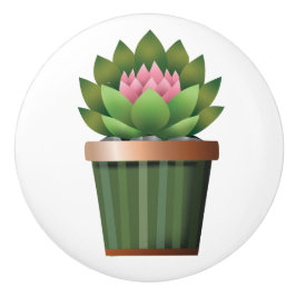 Blütenaeonium Keramikknauf