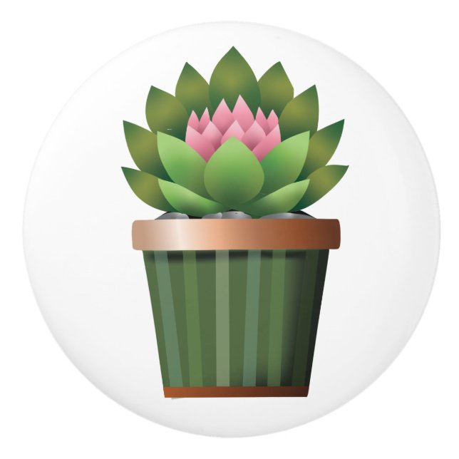 Blütenaeonium Keramikknauf (Vorderseite)