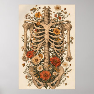 Blütenanatomie-Skelettposter, Vintage-Botanik Poster