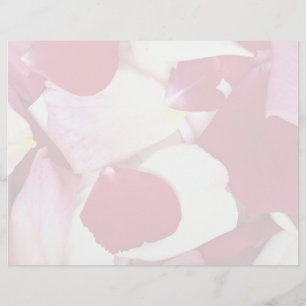 Blütenblätter aus gemischten Rose