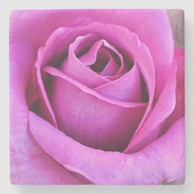 Blütenblätter der rosa Rose Blumen Kunst Untersetz Steinuntersetzer (Vorderseite)