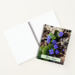 Blütenblumen, hepatica notizbuch