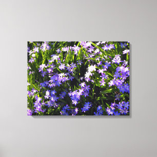Blütenblumen Leinwanddruck