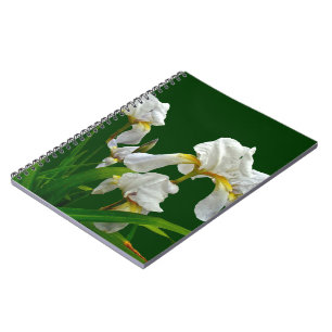 Blütenblüten aus weißer Bartblüte Notizblock